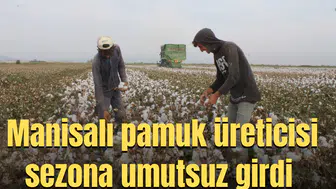 Manisalı pamuk üreticisi sezona umutsuz girdi