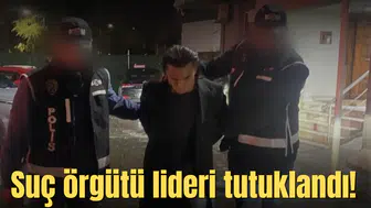 Suç örgütü lideri tutuklandı!