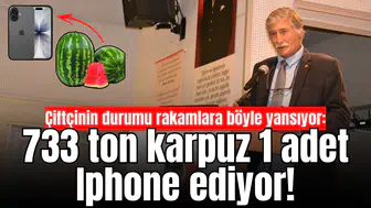 Çiftçinin durumu rakamlara böyle yansıyor: 733 ton karpuz 1 adet Iphone ediyor!