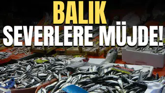 Balık severlere müjde!
