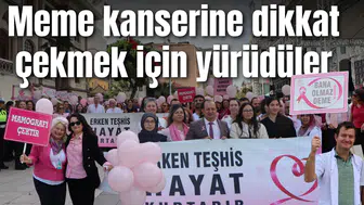 Meme kanserine dikkat çekmek için yürüdüler