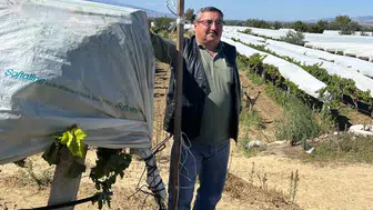 Bağ sahibinden ilginç çözüm
