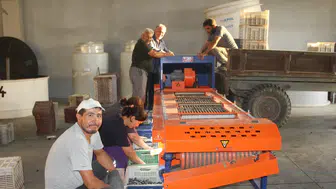 Tüketicide “organik zeytinyağı” bilinci arttı