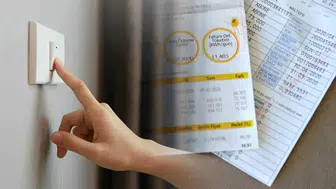 Elektrik Faturasını Yarıya Düşüren Doğal Yöntem: Bu Bitkiyi Odaya Koyan Kazanıyor!