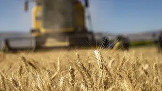 471,6 Milyon Liralık Tarımsal Destek Ödemesi Çiftçilerin Hesaplarına Yatıyor