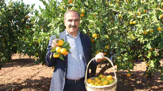 Mandalina ihracatından bakın ne kadar döviz bekleniyor
