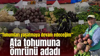 Ata tohumu sebzelerde hasat başladı