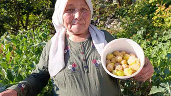 Altın Çilek bereketi pazar tezgahına yansıdı