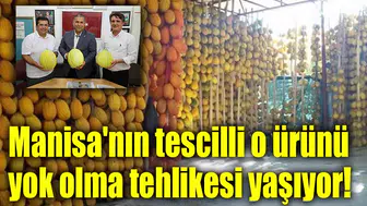 Manisa'nın tescilli o ürünü yok olma tehlikesi yaşıyor!