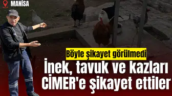 İnek, tavuk ve kazları CİMER'e şikayet ettiler