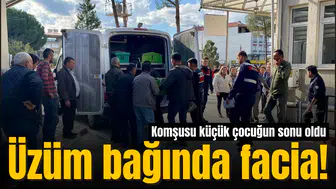 Üzüm bağında facia! Komşusu küçük çocuğun sonu oldu