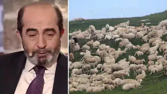 Şehit mezarının yeri, koyun sürüsünün garip davranışıyla fark edildi: O alanı kazınca...