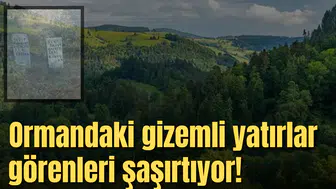 Ormandaki gizemli yatırlar görenleri şaşırtıyor!