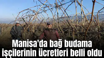 Manisa'da bağ budama işçilerinin ücretleri belli oldu