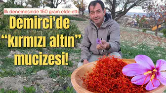 Demirci'de yetişmeyen çiçeği yetiştirdi