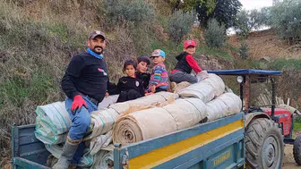 Bağ örtüleri toplanmaya başladı