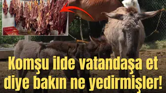 Komşu ilde vatandaşa et diye bakın ne yedirmişler!