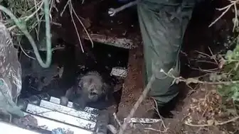 Foseptik çukuruna düştü, itfaiye tarafından kurtarıldı