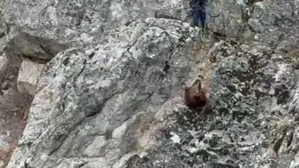 Dağda mahsur kalmışlardı, ekipler tarafından kurtarıldılar