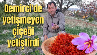 Demirci'de yetişmeyen çiçeği yetiştirdi