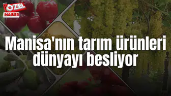 Manisa'nın tarım ürünleri dünyayı besliyor