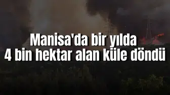 Manisa'da bir yılda 4 bin 562 hektar alan küle döndü