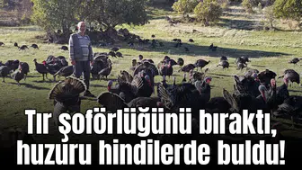 Tır şoförlüğünü bıraktı, huzuru hindilerde buldu!