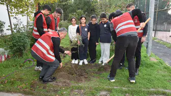 Türkiye Yeşeriyor, Gazze Güçleniyor projesine  Manisa’dan 100 fidanlı destek