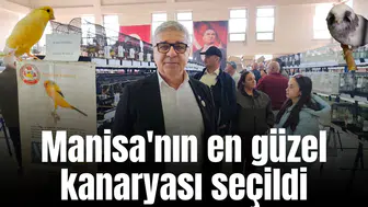 Manisa'nın en güzel kanaryası seçildi