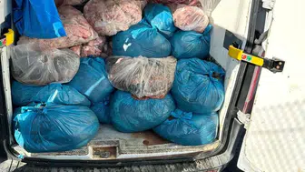 Şüpheli araçta 2 ton kaçak sakatat ele geçirildi