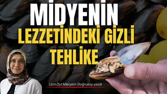 MİDYENİN LEZZETİNDEKİ GİZLİ TEHLİKE: DENİZLERİN SESSİZ ÇAĞRISI