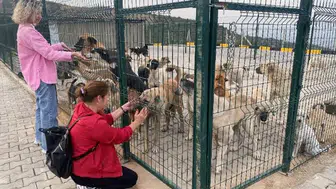 Sokak hayvanları için modern doğal yaşam alanı hayata geçirildi