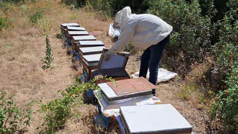 Arıcılık kursu ile hem meslek ediniyorlar hem de doğayla uyumlu üretimi öğreniyorlar