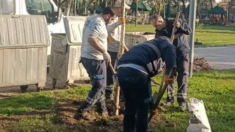 Yunusemre yeşile bürünüyor