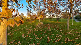 Manisa'dan sonbahar manzaraları