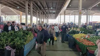 Tarlada üreticinin pazarda tüketicinin yüzü gülmüyor