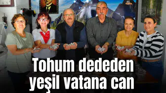 Tohum dededen yeşil vatana can