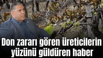 Manisa'da don zararı gören üreticilerin yüzünü güldüren haber