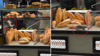 Fırın sahibini 10 bin dolarlık teklif kurtaramadı