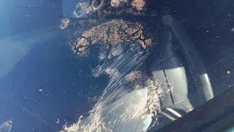 Ayı otomobili hurdaya çevirdi