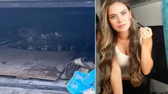 Ünlü oyuncunun oturduğu sitede timsah yakalandı