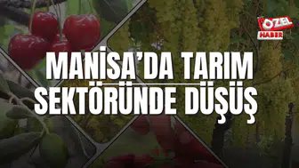MANİSA’DA TARIM SEKTÖRÜNDE DÜŞÜŞ