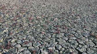 Manisa'da kuraklık riski artıyor