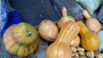 Kendisi ayrı, çekirdeği ayrı şifa kaynağı