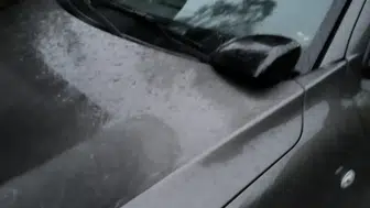 Avukat mahallenin kabusu oldu!