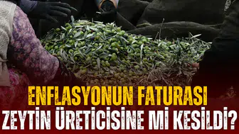 Enflasyonun faturası zeytin üreticisine mi kesildi?
