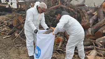 Budanan ağaç dalları ihtiyaç sahiplerini ısıtıyor