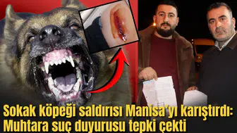 Manisa'da vahşet:2 çocuğa köpekler saldırdı
