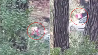 Sesleri duyup önce kayda aldı, sonra polisi aradı