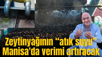 Zeytinyağının “atık suyu”  Manisa'da verimi artıracak